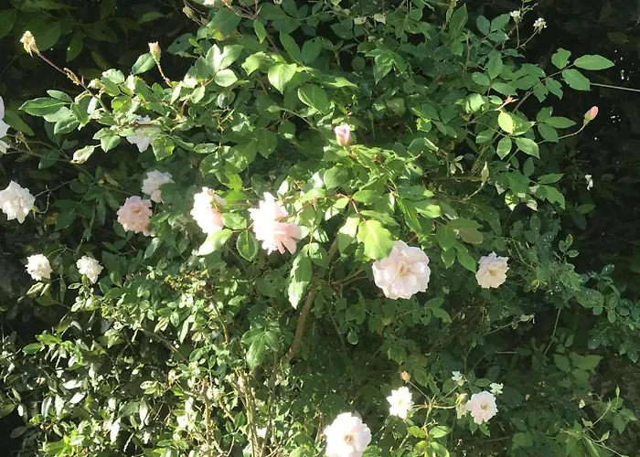 Casa Do Trevo Rum i privatbostad Salir de Porto